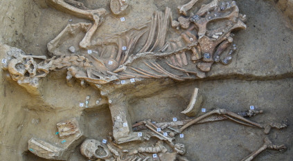 Baranya aranya – Egy kora avar kori temető feltárja titkait