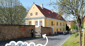 Tavasz, újjászületés, reneszánsz a Múzeumutcában