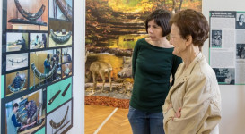 A jégkor pécsi vándora – A „pécsi mammut” – megnyitó