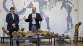 A jégkor pécsi vándora – A „pécsi mammut” – megnyitó