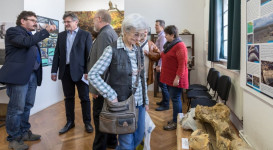 A jégkor pécsi vándora – A „pécsi mammut” – megnyitó