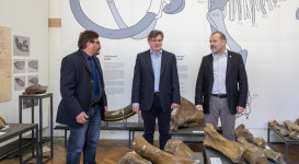 A jégkor pécsi vándora – A „pécsi mammut” – megnyitó