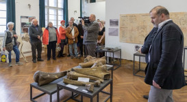 A jégkor pécsi vándora – A „pécsi mammut” – megnyitó