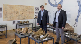 A jégkor pécsi vándora – A „pécsi mammut” – megnyitó