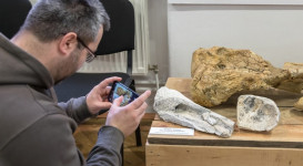 A jégkor pécsi vándora – A „pécsi mammut” – megnyitó