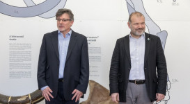 A jégkor pécsi vándora – A „pécsi mammut” – megnyitó