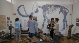 A jégkor pécsi vándora – A „pécsi mammut” – megnyitó