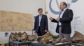 A jégkor pécsi vándora – A „pécsi mammut” – megnyitó
