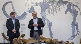 A jégkor pécsi vándora – A „pécsi mammut” – megnyitó