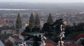 Piknik a mandulafánál a győzelem megünneplésére