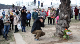 Piknik a mandulafánál a győzelem megünneplésére