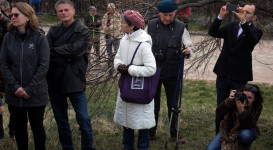 Piknik a mandulafánál a győzelem megünneplésére