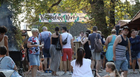 Múzeum Utca Plusz (fényfestés, hangulatképek)
