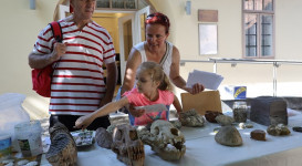 Múzeum Utca Plusz – ősmaradványok nyomában (foglalkozás)